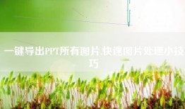 一键导出PPT所有图片,快速图片处理小技巧