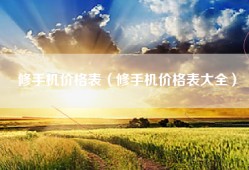 修手机价格表（修手机价格表大全）