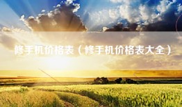 修手机价格表（修手机价格表大全）