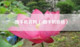 v图手机官网（v图手机价格）