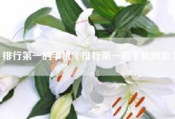 排行第一的手机（排行第一的手机网游）