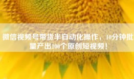 微信视频号带货半自动化操作，10分钟批量产出100个原创短视频！