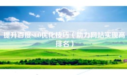 提升百度SEO优化技巧（助力网站实现高排名）