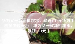 华为又一款新机跳水,暴跌1711元华为手机多少钱一台「华为又一款新机跳水,暴跌1711元」