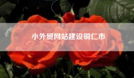 小外贸网站建设铜仁市