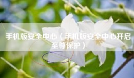 手机版安全中心（手机版安全中心开启至尊保护）