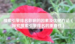 搜索引擎排名影响的因素及优化方法（探究搜索引擎排名的重要性）