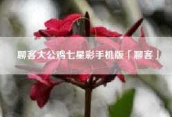 聊客大公鸡七星彩手机版「聊客」