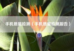手机质量检测（手机质量检测报告）