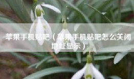 苹果手机贴吧（苹果手机贴吧怎么关闭地址显示）