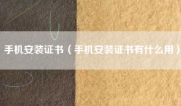 手机安装证书（手机安装证书有什么用）