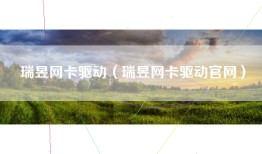瑞昱网卡驱动（瑞昱网卡驱动官网）