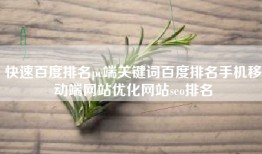 快速百度排名pc端关键词百度排名手机移动端网站优化网站seo排名