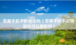 苹果手机不记得密码（苹果手机不记得密码可以刷机吗）