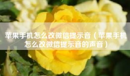 苹果手机怎么改微信提示音（苹果手机怎么改微信提示音的声音）