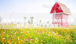 智能手表连接手机（智能手表连接手机后声音只能从手表播放）