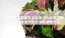 java项目历史数据怎么记录_Java开发工具IntelliJ IDEA本地历史记录的使用方法