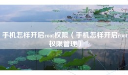 手机怎样开启root权限（手机怎样开启root权限管理）