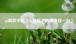 op新款手机（op新款手机多少钱一台）