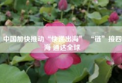 中国加快推动“快递出海” “链”接四海 通达全球