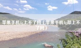 苹果手机4g上不了网（苹果手机4g却上不了网）
