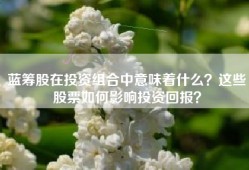 蓝筹股在投资组合中意味着什么？这些股票如何影响投资回报？