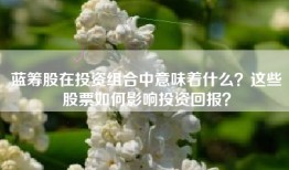 蓝筹股在投资组合中意味着什么？这些股票如何影响投资回报？