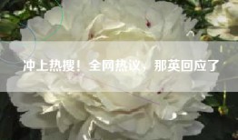 冲上热搜！全网热议，那英回应了