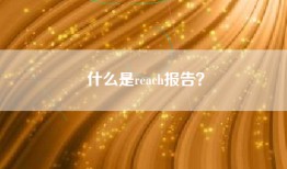 什么是reach报告？