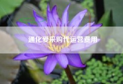 通化爱采购代运营费用