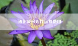 通化爱采购代运营费用