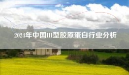 2024年中国III型胶原蛋白行业分析