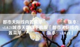 都市天际线内置菜单                    版本：v1.0.24城市天际线手机版「都市天际线内置菜单                    版本：v1.0.24」