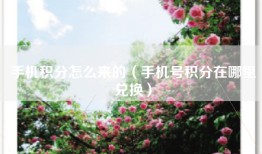 手机积分怎么来的（手机号积分在哪里兑换）