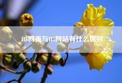 H5网页与H5网站有什么区别