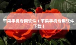苹果手机专用软件（苹果手机专用软件下载）