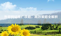 外贸网站推广攻略，高效策略全解析