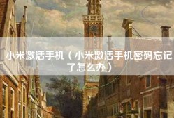 小米激活手机（小米激活手机密码忘记了怎么办）