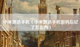 小米激活手机（小米激活手机密码忘记了怎么办）