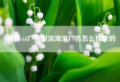 抖音cid广告引流淘宝广告怎么投放的