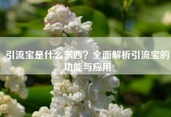 引流宝是什么东西？全面解析引流宝的功能与应用