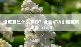 引流宝是什么东西？全面解析引流宝的功能与应用