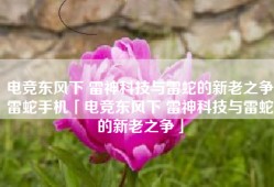 电竞东风下 雷神科技与雷蛇的新老之争雷蛇手机「电竞东风下 雷神科技与雷蛇的新老之争」