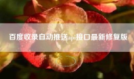 百度收录自动推送api接口最新修复版