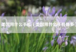 美国用什么手机（美国用什么手机最多）