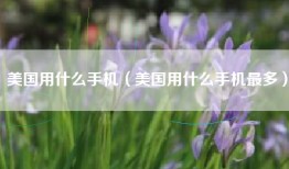 美国用什么手机（美国用什么手机最多）