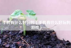手机有什么好玩的（手机有什么好玩的游戏）