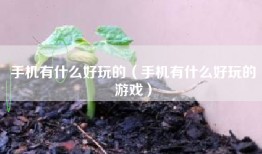 手机有什么好玩的（手机有什么好玩的游戏）
