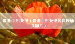 香港 手机充电（香港手机充电器转换插头图片）