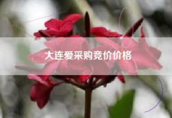 大连爱采购竞价价格
